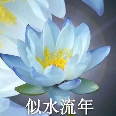 星王传说下载官方版